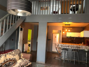 DUPLEX F3 - CENTRE ROUEN - 5 Lits